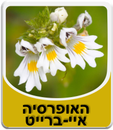 האופרסיה | חליטת צמחים | מכיל 50 גרם | הרבה סנטר