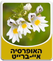 האופרסיה | חליטת צמחים | מכיל 50 גרם | הרבה סנטר