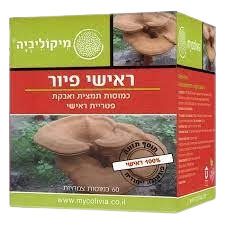 ראישי (ריישי) פיור | מכיל 60 כמוסות | כמוסות תמצית ואבקת פטריית ראישי | מיקוליביה | Mycolivia