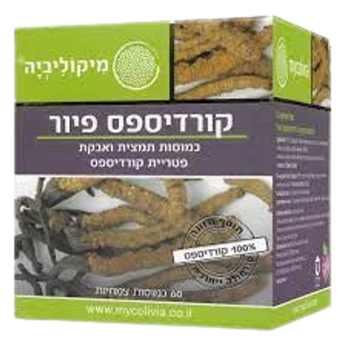 קורדיספס פיור | מכיל 60 כמוסות | כשר פרווה | פטרייה אקזוטית | מיקוליביה | Mycolivia