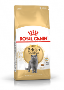 רויאל קנין חתול בריטי 4 ק"ג Royal Canin British