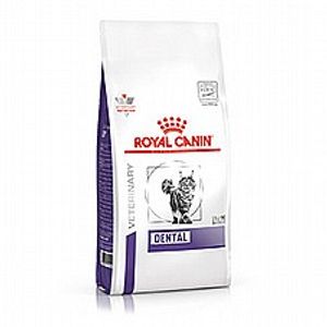 Royal Canin רויאל קנין 3 ק"ג מזון רפואי יבש לחתולים עם בעיות בשיניים (דנטל)