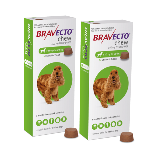 זוג ברבקטו כדור נגד פרעושים וקרציות 10-20 BRAVECTO תוקף 09/27