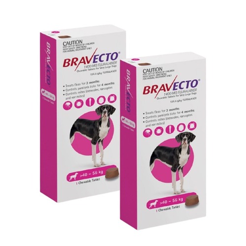 זוג ברבקטו כדור נגד פרעושים וקרציות 40-56 BRAVECTO תוקף 10/27