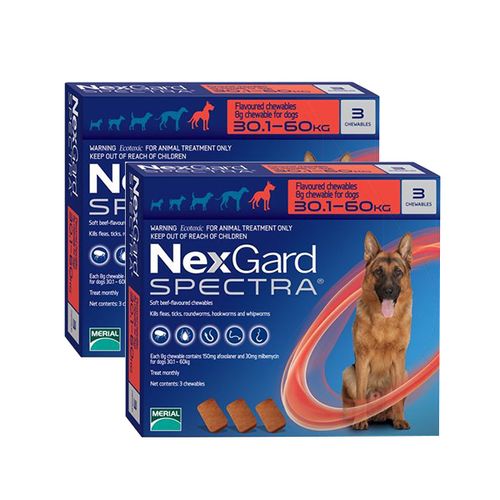 זוג נקסגארד ספקטרה 30-60 NexGard SPECTRA תוקף 08/27