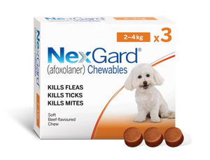 נקסגארד כדור נגד פרעושים וקרציות 2-4 ק"ג NexGard תוקף 05/27