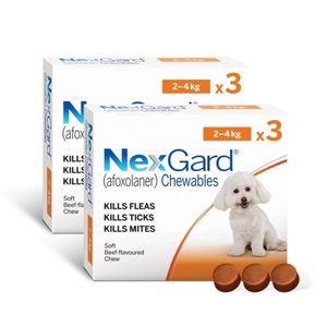זוג נקסגארד כדור נגד פרעושים וקרציות 2-4 ק"ג NexGard תוקף 05/27