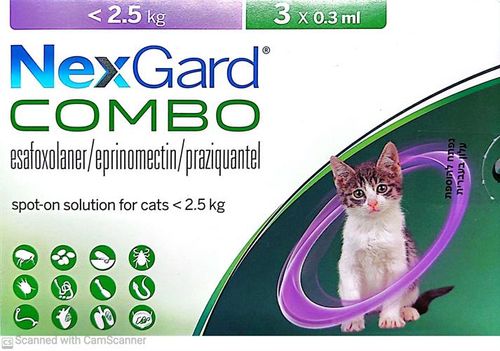 NexGard אמפולה - טיפול בפרעושים וקרציות לחתולים