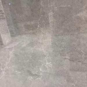 Royal pulpis dark grey