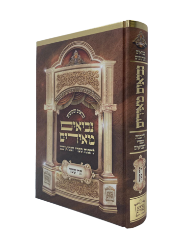 ספר תרי עשר נביאים מאירים