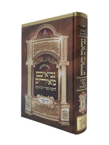 ספר תרי עשר- נביאים מאירים - הרב רונן חזיזה