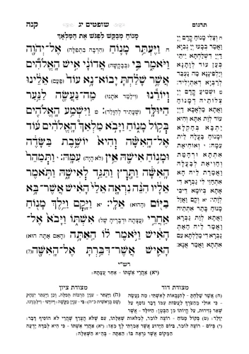 דוגמה מתוך נביאים מאירים