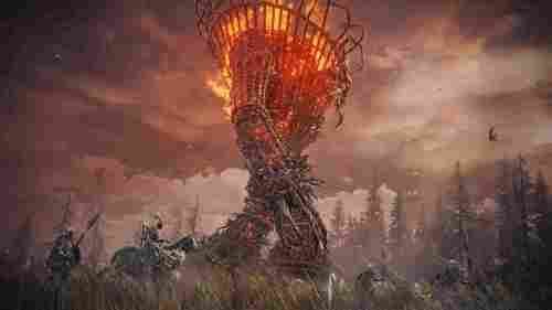  PS5 ELDEN RING SHADOW OF THE ERDTREE סוני