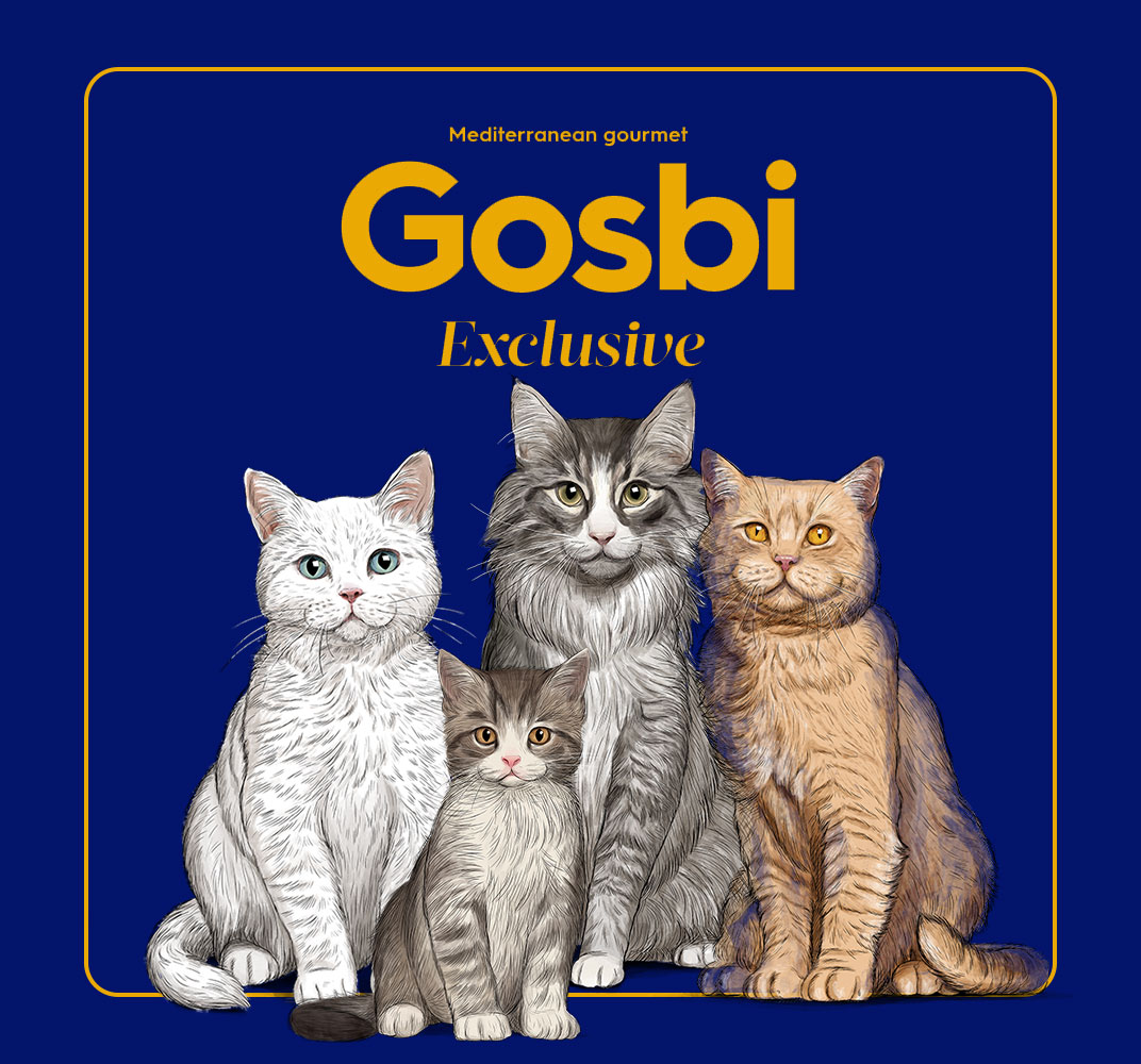 גוסבי מזון לחתולים GOSBI