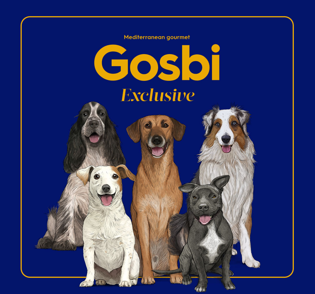 גוסבי מזון לכלבים GOSBI