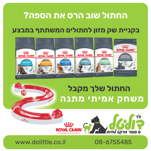 רויאל קנין חתול לייט וויט קייר 3 ק