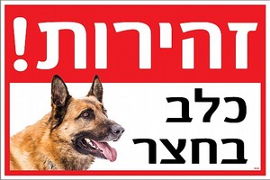 שלט זהירות! כלב בחצר 30 × 20 ס"מ