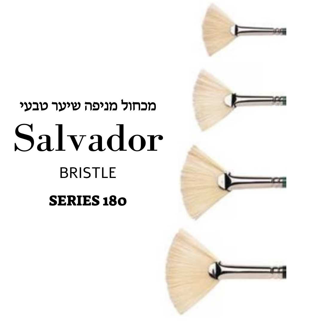 מכחול מניפה משיער טבעי bristle סדרה SALVADOR 180 (מגוון גדלים) 