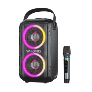 ‏בידורית קריוקי W-king T9