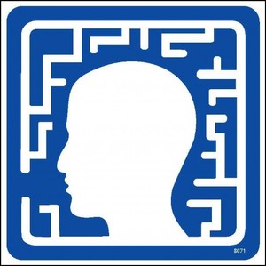 שרות נגיש למוגבלות שכלית 20 × 20 ס"מ