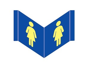 שלט פולט אור פנורמי שרותי נשים 12 × 27 ס"מ