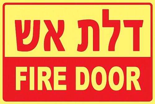 שלט פולט אור דלת אש FIRE FLOOR 30 × 20 ס