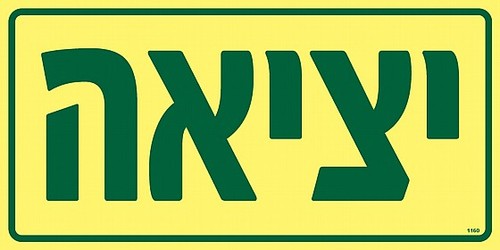שלט פולט אור יציאה 30 × 15 ס