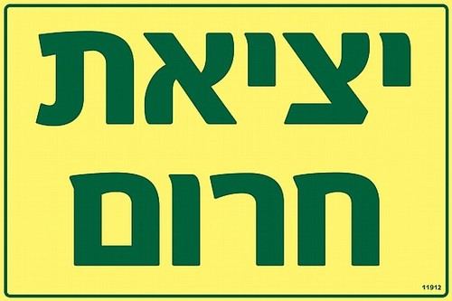 שלט פולט אור יציאת חרום 60 × 40 ס