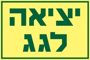 שלט פולט אור יציאה לגג 30 × 20 ס"מ