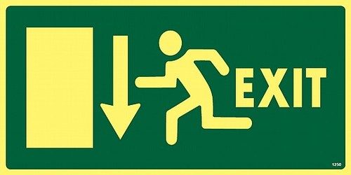 שלט פולט אור יציאה EXIT למטה 30 × 15 ס