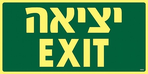 שלט פולט אור יציאה EXIT 30 × 15 ס