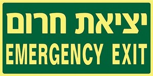 שלט פולט אור יציאת חרום EMERGENCY EXIT 30 × 15 ס"מ