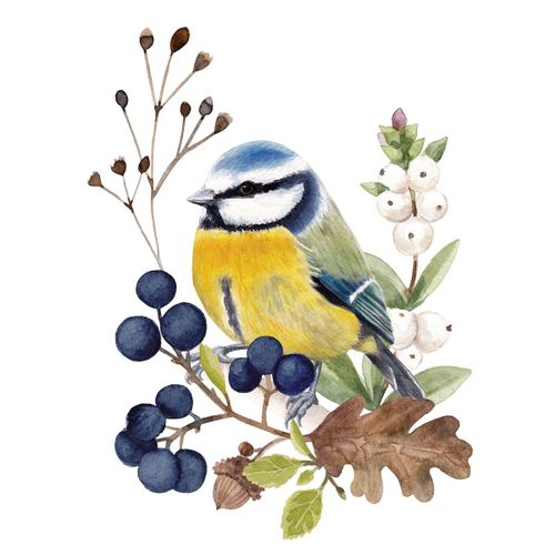 חבילת מפיות  OISEAU EN NATURE