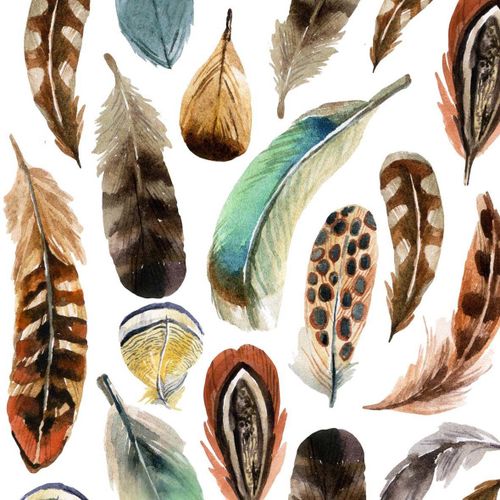 חבילת מפיות נוצות AQUARELL FEATHERS