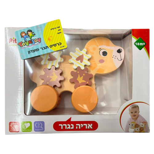 אריה נגרר מעץ