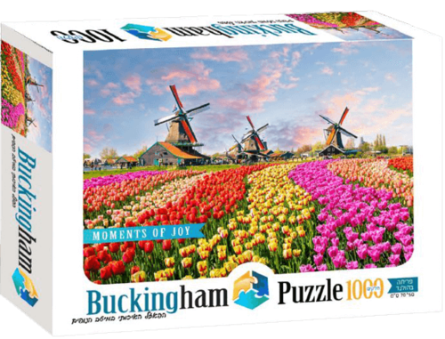 פריחה בהולנד