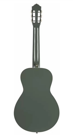 RGA-PLT 
