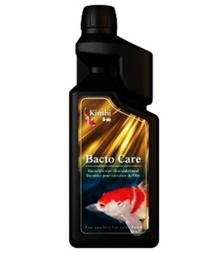 תוסף בקטריה לבריכה 1ל' BACTO CARE קינשי