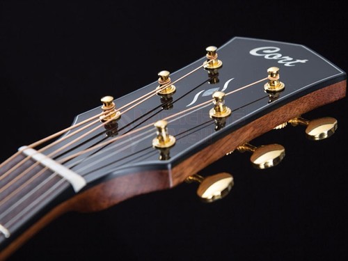 גיטרה אקוסטית כולל נרתיק CORT GOLD D6 NAT