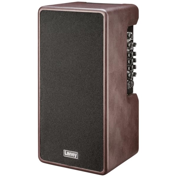  מגבר 2 ערוצים לגיטרה אקוסטית 120W 