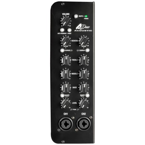  מגבר 2 ערוצים לגיטרה אקוסטית 120W 