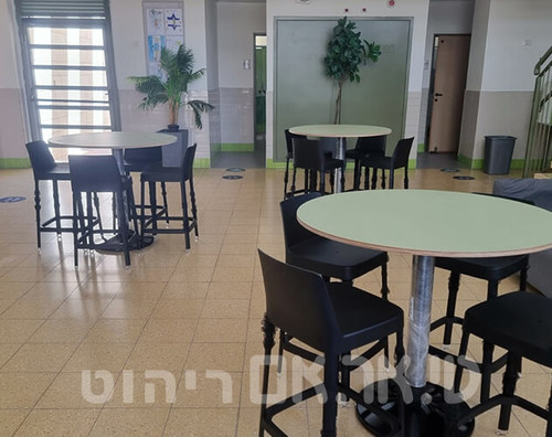 אירוס נס ציונה