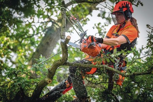 משור הנפה מנועי T525