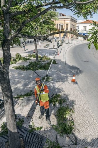 משור גובה טלסקופי נטען 530iPT5 - גוף בלבד