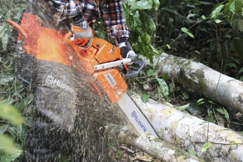 משור מנועי 365