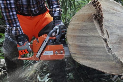 משור מנועי 365