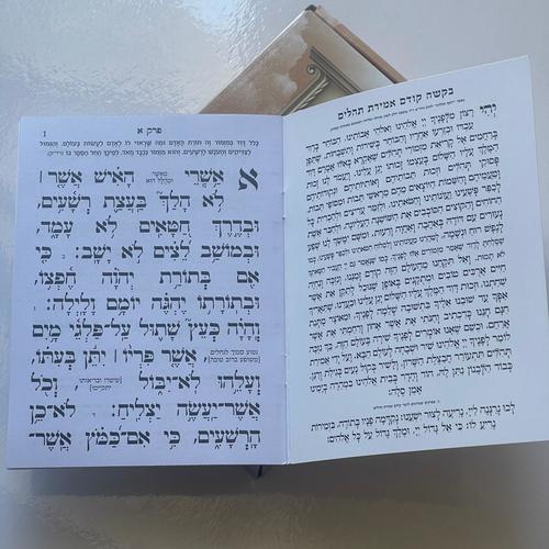 תהילים המחולק - 