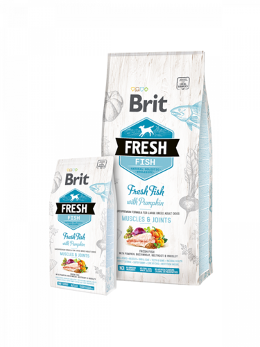 בריט פרש דג ודלעת בוגר גזע גדול 12 ק”ג - BRIT FRESH מזון יבש לכלב בוגר גזע גדול
