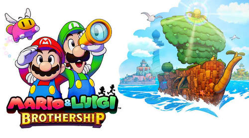 mario & luigi brothership nintendo switch 