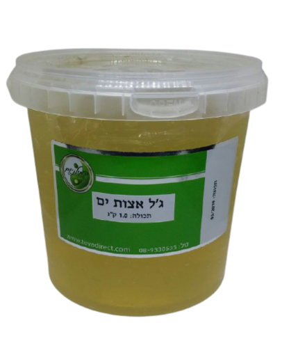 ג